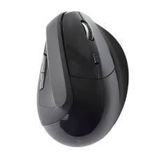 Mouse Vertical economico